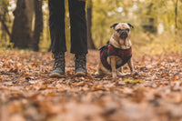 Jason P.